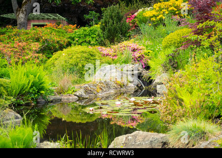 A view of the Summerhouse and lotus pond in the brilliant Abkhazi Garden (Abkhazi Gardens) during the spring in Victoria, British Columbia, Canada Stock Photo