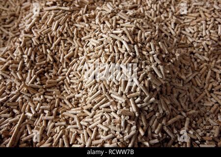 Production of wood pellets for heating, at the WestPellets company in Titz, North Rhine-Westphalia Stock Photo