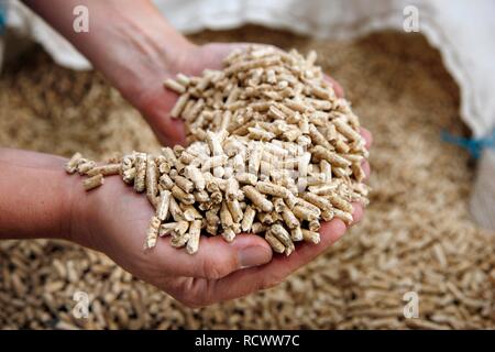 Production of wood pellets for heating, at the WestPellets company in Titz, North Rhine-Westphalia Stock Photo