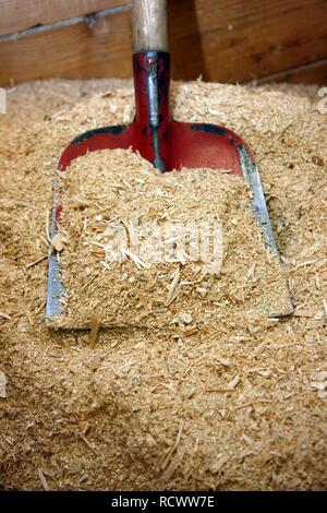 Raw wood chips for the manufacture of wood pellets for heating, at the WestPellets company in Titz, North Rhine-Westphalia Stock Photo