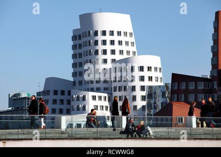 Neuer Zollhof, Gehry-Bauten, Architekt Frank O. Gehry im Medienhafen, Duesseldorf, Rheinland, Nordrhein-Westfalen, Deutschland Stock Photo