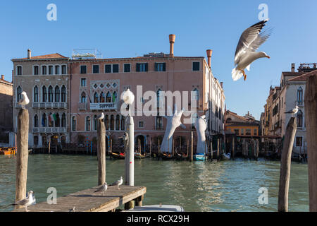 Venice, Italy - March 22, 2018: Giant hands rise from the water of Grand Canal to support the building in Venice. This powerful report on climate chan Stock Photo