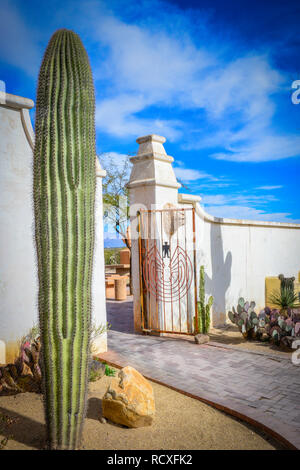 A saguaro cactus and other cacti line the courtyard grounds At the historical Mission San Xavier del Bac, a Spanish Catholic Mission near Tucson, AZ Stock Photo