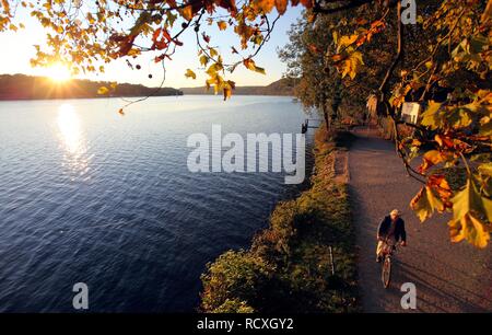 Baldeneysee Lake, reservoir of the river Ruhr, towpath, walkers, autumn, Essen, North Rhine-Westphalia Stock Photo