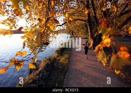 Baldeneysee Lake, reservoir of the river Ruhr, towpath, walkers, autumn, Essen, North Rhine-Westphalia Stock Photo