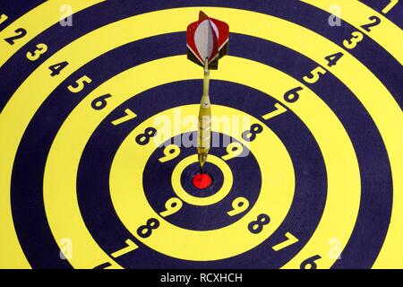Darts, throwing game, dart sticking into the middle of the dartboard, the bullseye Stock Photo