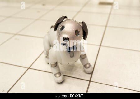 AIBO, Ginza Sony Park, Chuo-Ku, Tokyo, Japan Stock Photo