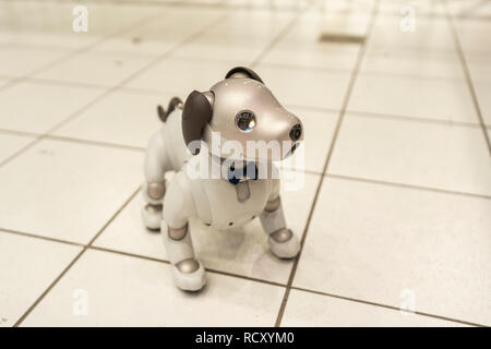 AIBO, Ginza Sony Park, Chuo-Ku, Tokyo, Japan Stock Photo