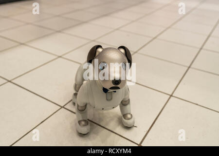 AIBO, Ginza Sony Park, Chuo-Ku, Tokyo, Japan Stock Photo