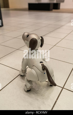 AIBO, Ginza Sony Park, Chuo-Ku, Tokyo, Japan Stock Photo