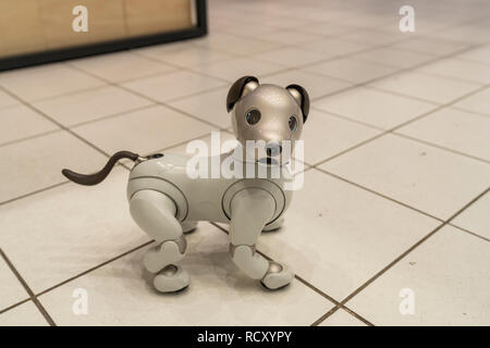 AIBO, Ginza Sony Park, Chuo-Ku, Tokyo, Japan Stock Photo