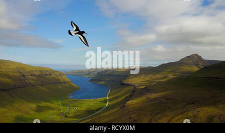 Bird Flying Over Green Mountains Against Blue Sky Stock Photo