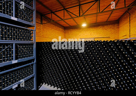 Resting wine bottles stacked in the cellar of a Malbec winery factory, San Juan, Argentina, also seen in Mendoza Stock Photo