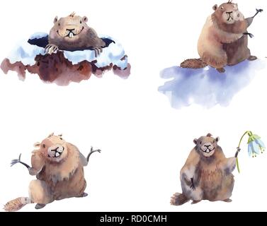 Happy Groundhog Day - hand drawn watercolor collection illustrations groundhog card Stock Vector