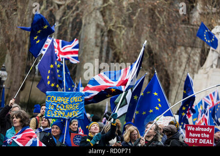 LONDON, UK - JANUARY 15th 2019: Anti Brexit campaigners rally outside the Houses of Parliment in Westminster over the brexit deal vote Stock Photo