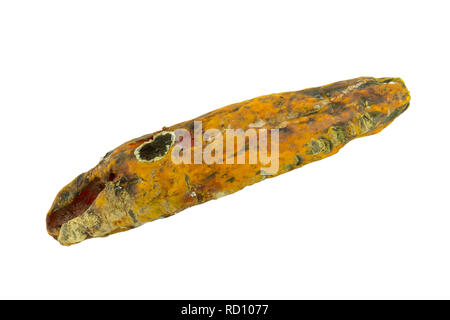 rotten papaya on white isolate background Stock Photo