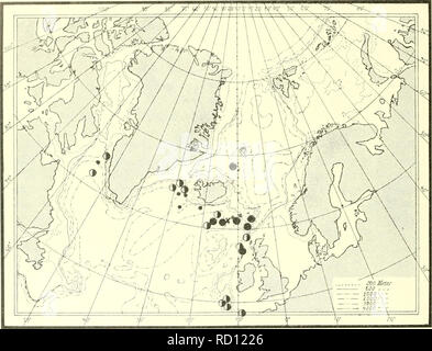 . The Danish Ingolf-expedition. Marine animals -- Arctic regions; Scientific expeditions; Arctic regions. TOMOFTERIDjE AND typhloscolecid^. always found near the surface of the ocean, entered these two areas, viz: the Irminger Sea and the Davis Strait? They have probably followed the branch of the North Atlantic Drift which W. of Ireland turns north- wards and, following the south and west coast of Iceland, enters the northern part of the Denmark Strait. Part of this current transforms into the cold East Greenland current, which turns round Cape Farewell, and running ters the Davis Strait. In  Stock Photo