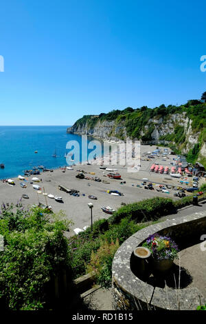 View of the beach at Beer, Devon. UK Stock Photo