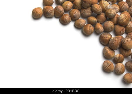 Common Hazel Cobnuts Corylus Avellana Isolated on White Background Stock Photo