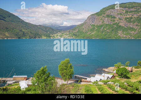 The Lustrafjord with Solvorn on the far side, seen from the road to the stave church of Ornes Stock Photo