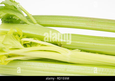 Sticks of celery, imported from Spain to the UK and bought from a supermarket. Dorset England UK GB Stock Photo