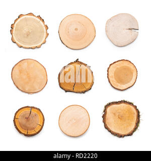 A slices of different wood types representing profile of cut tree. Pieces of wood isolated on white background. Stock Photo