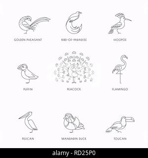 Birds are different species. Line icon set. Can be used for logo, print, web site Stock Vector
