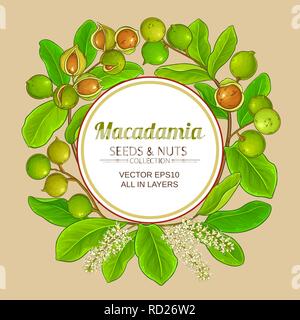macadamia vector frame on color background Stock Vector