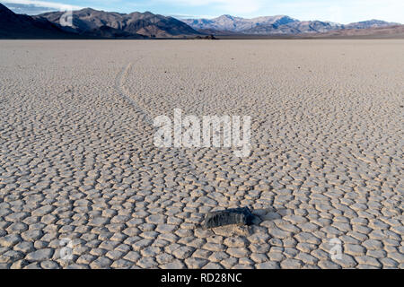 Sailing rocks leave trails in the mud as they move, Racetrack Playa, Death Valley National Park, California Stock Photo