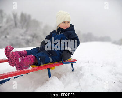 Little adorable girls enjoy a sleigh ride. Child sledding. Children play outdoors Stock Photo