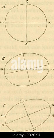 . Das Mikroskop, Theorie und Anwendung desselben. Microscopes. Fig. 168.. Please note that these images are extracted from scanned page images that may have been digitally enhanced for readability - coloration and appearance of these illustrations may not perfectly resemble the original work.. Nägeli, Carl, 1817-1891; Schwendener, S. (Simon), 1829-1919. Leipsig : W. Engelmann Stock Photo