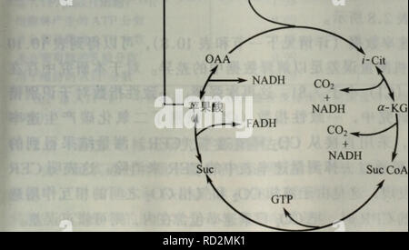 Dai Xie Gong Cheng Botany Aeaºe A Aºe A Aºe A Aºe 15 4aºc C I C Ce I A Eaee E Ae E C C Aºae Aea E Cc Aec A Ae C Ae ºaeºca Ae Aºc Aºae Aea ºe 1 Ki 1 Ia 1 5 4 A A ªc Aºae Aea ªae Eµ Aºcº Ae A A A Aºaºc C Ce E C Ae A Ae Ca C Km App Km L