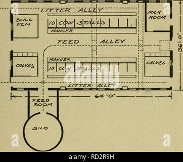 . Dairy farming. Dairying; Cattle. THE DAIRY BARN 141 connected with dairy work. A dark barn is almost always a dirty barn. By having plenty of sunlight, dirty conditions are easily seen and are usually corrected. There should be about four square feet of glass per cow. The best arrange- ment is to have the windows extend from the ceiling about. Fig. 37. — Floor plan of a barn for 20 cows. halfway to the floor, as this makes it possible for the sunlight to reach farther into the barn. 128. The Floor. One of the most important considerations of all is the floor. A satisfactory floor is comforta Stock Photo