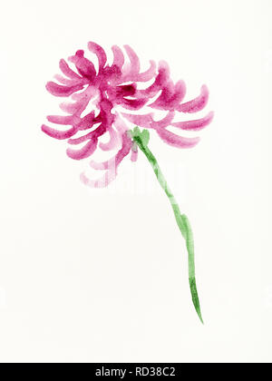 training drawing in sumi-e (suibokuga) style with watercolor paints - purple chrysanthemum flower is hand drawn on creamy paper Stock Photo
