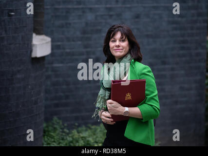 Claire Perry, Minister of State for Energy and Clean Growth, at Downing Street for a Cabinet meeting. Stock Photo
