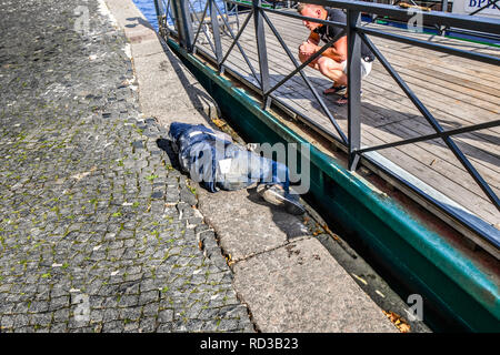St. Petersburg, Russia - September 11 2018: A homeless man sleeps as another man tries to wake him on a sidewalk near a boat dock on the Neva River. Stock Photo