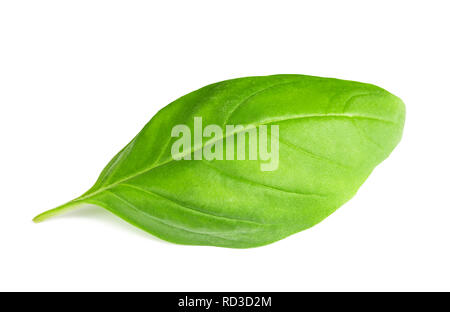 Fresh basil leaf  isolated on white background Stock Photo