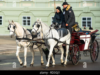 Vienna horse and carriage at Hofburg palace, Austria. Stock Photo