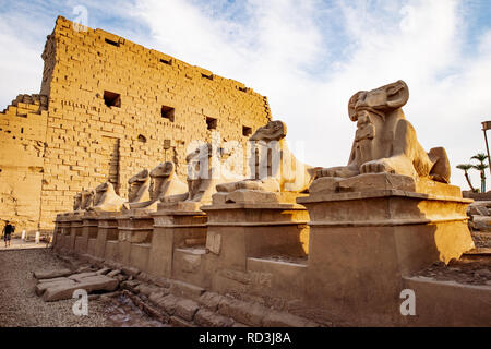 Karnak Temple in Luxor at sunset and the Ram headed Sphinx statues in front Stock Photo