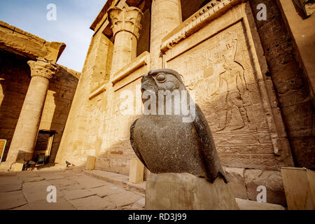 Statue of Horus falcon God at Temple of Horus or Edfu Temple in Egypt Stock Photo