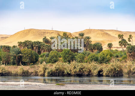 The natural vegetation with Palm trees and greenery on the banks of the River Nile in Egypt Stock Photo