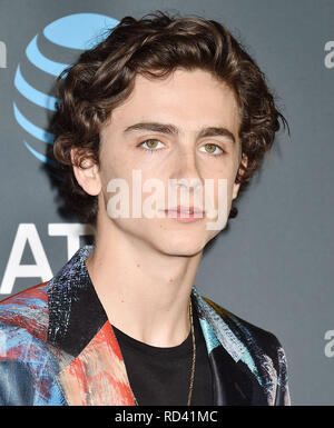 SANTA MONICA, CA - JANUARY 13: Timothee Chalamet arrives at the The 24th Annual Critics' Choice Awards attends The 24th Annual Critics' Choice Awards  Stock Photo