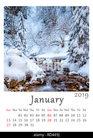 THE NATURE OF TREES – CAIT NISHIMURA MUSIC - View #6