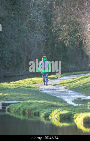 Kidderminster, UK. 17th January, 2019. UK weather: after a cold start with temperatures only just above freezing, the morning sun here is a welcome sight for all in Kidderminster. In spite of the sunshine, daytime temperatures are forecast to peak at only 5 degrees celsius with another cold night ahead. This young lady is wrapped up warm and taking time out to enjoy her daily exercise in the welcome winter sunlight. Credit: Lee Hudson/Alamy Live News Stock Photo