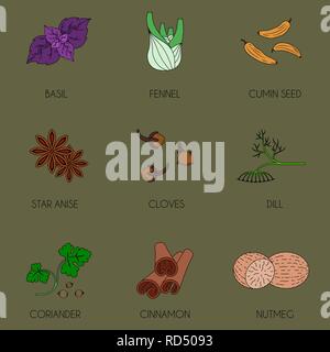 Spices set of colored icons. Vector image Stock Vector