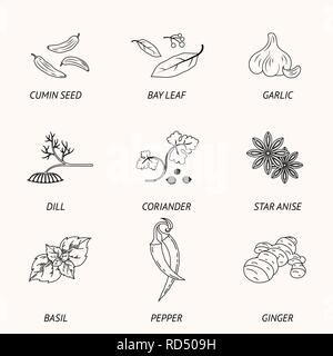 Spices set of linear icons. Vector image Stock Vector