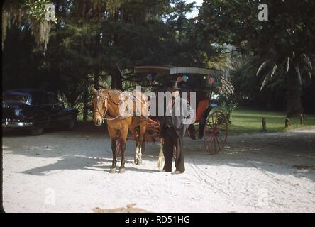 Portrait of an African American hansom cab driver posing beside his horse and carriage, at My Old Kentucky Home State Park in Bardstown, Kentucky, October, 1953. () Stock Photo