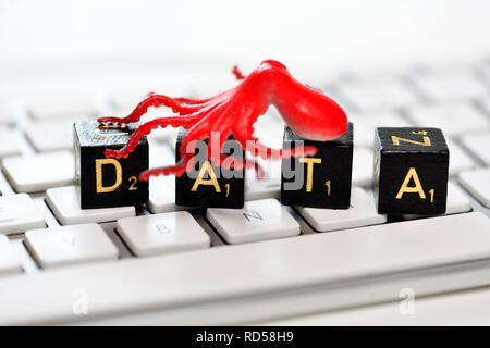 Octopus figurine on letter cubes forming the word data, data leech Stock Photo