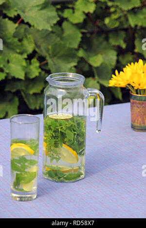 jar with homemade lemon balm tea on a patio table, vine plant in the back Stock Photo