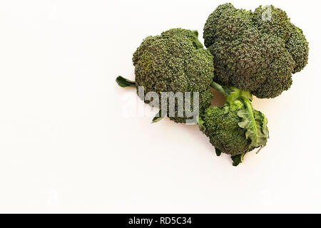 Broccoli inflorescence on white background isolated with space for text. Stock Photo
